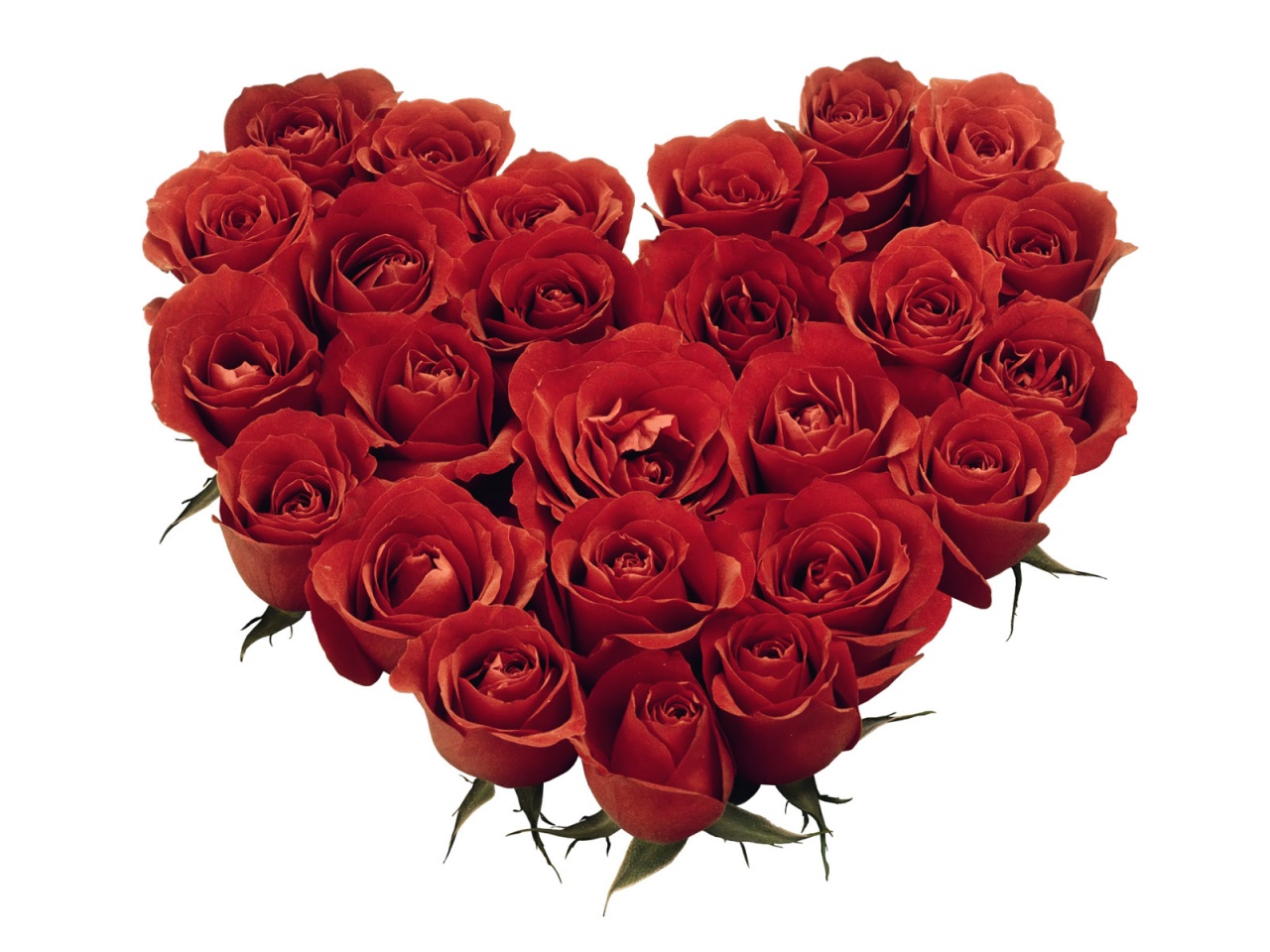 red-rose-heart-3.jpg