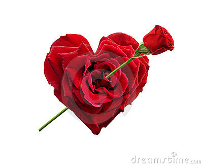 heart-shaped-rose-10107614.jpg