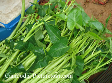 water-spinach-trokuon-khmer.jpg